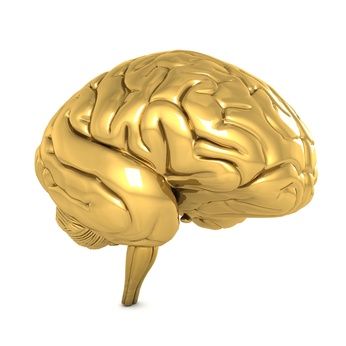 Goldenes Gehirn