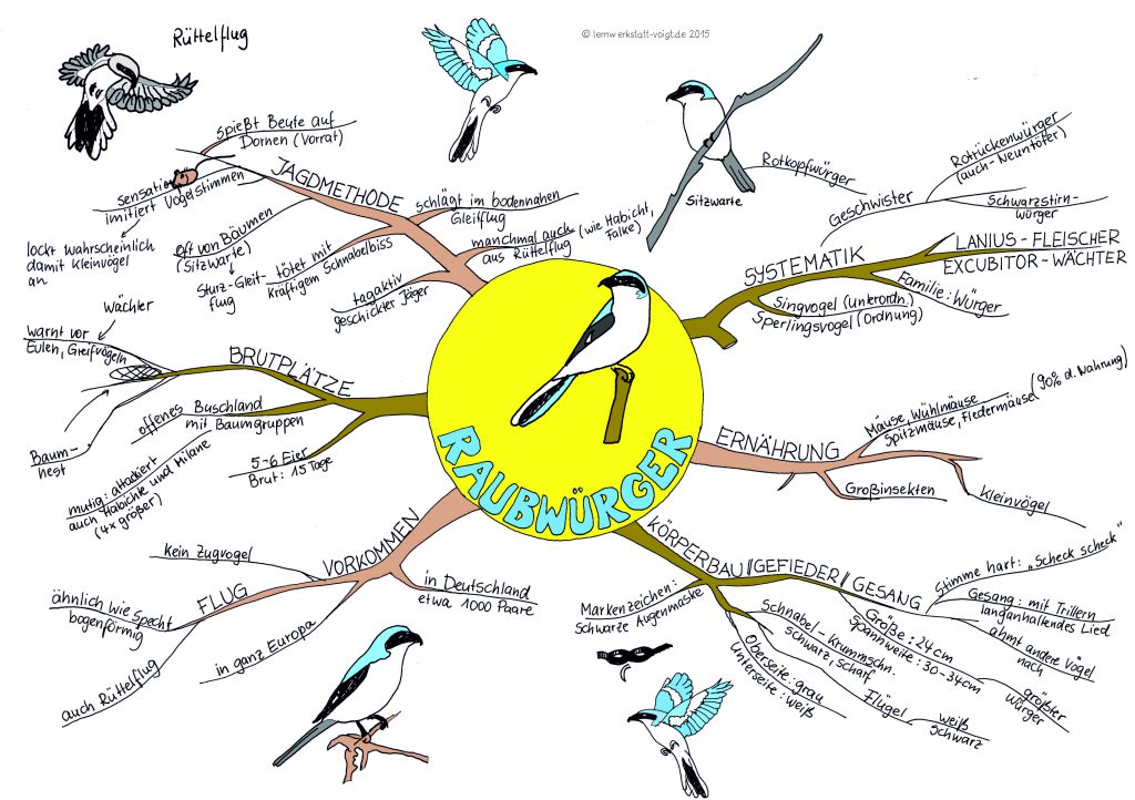 Essay zum thema wie ich verbrachte den sommer 07 picture